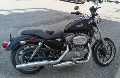 Harley-davidson XL883L