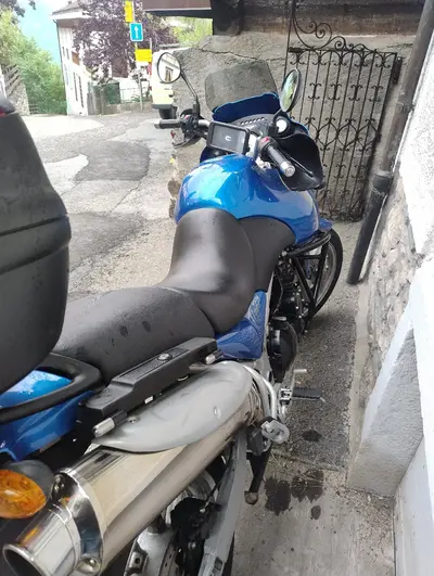 Triumph tiger 955i