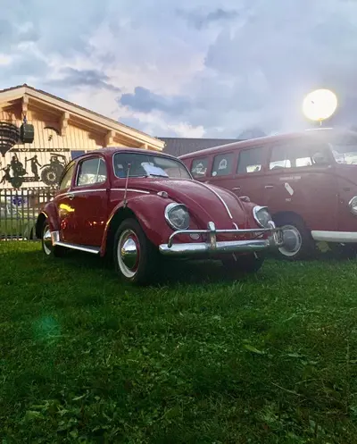 VW coccinelle 