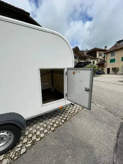 Daltec Cargo 1?