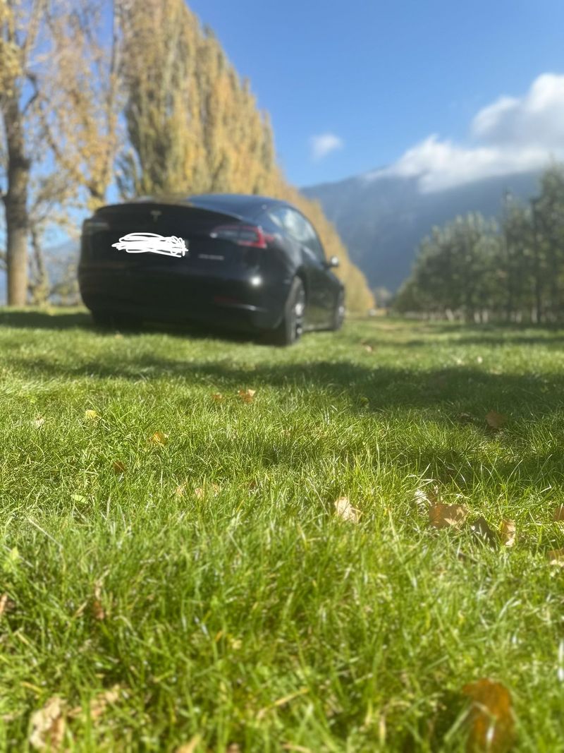 TESLA Model 3 - photo 5