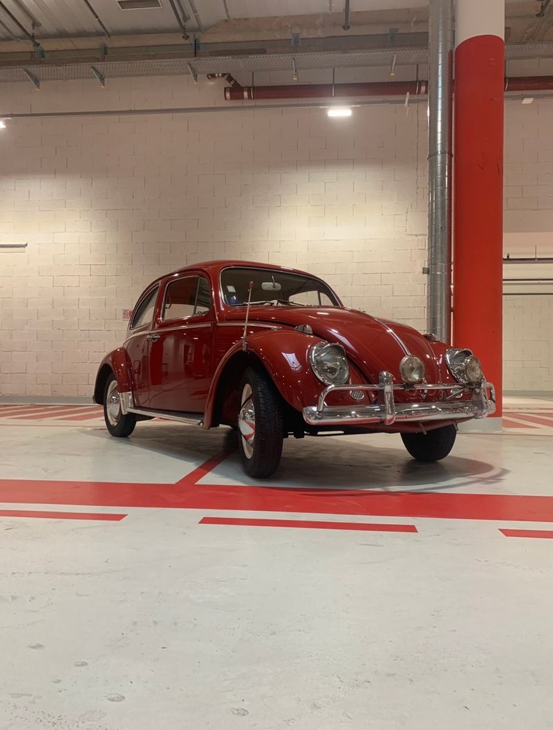 VOLKSWAGEN Coccinelle
