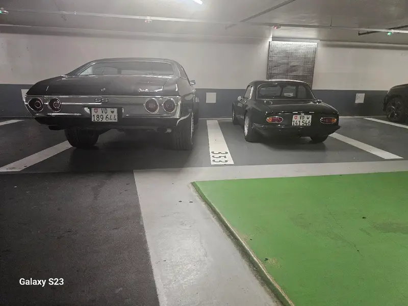 chevrolet chevelle ss big bloc 454 v8 7.4l - photo 3