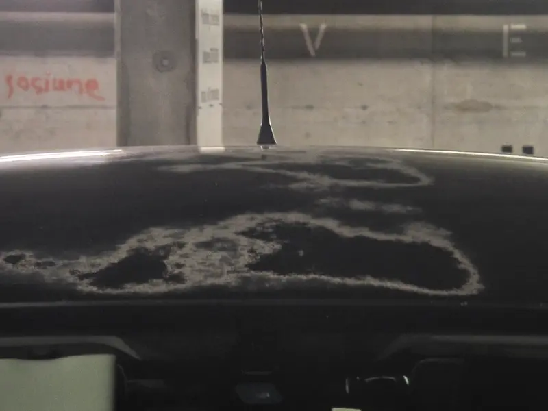 Je vent ma voiture!